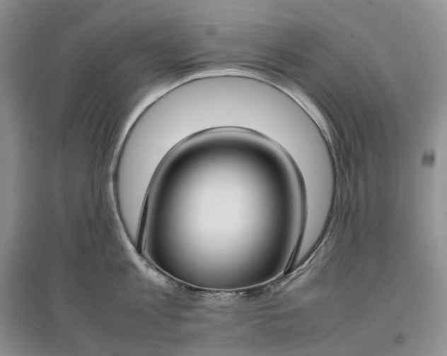 X0000097300813200802291812