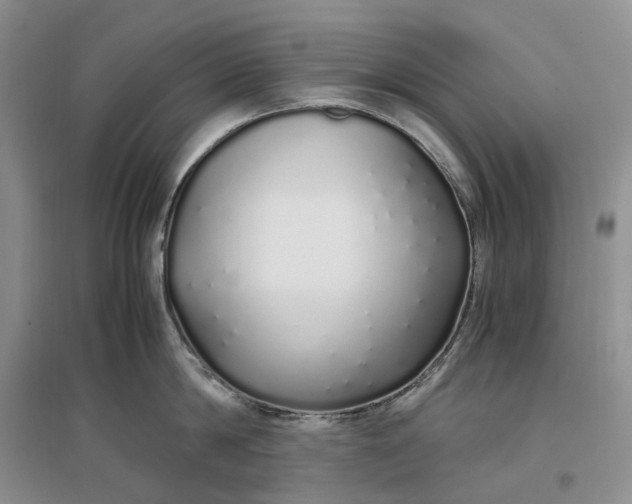 X0000097300814200802291812