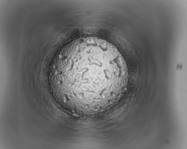 X0000097300817200802291811