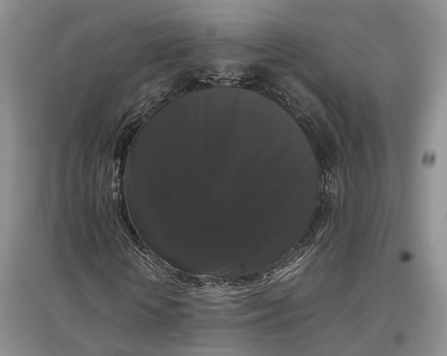 X0000097300818200802291811