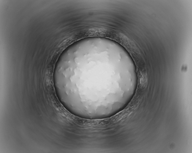 X0000097300819200802291811