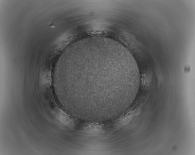 X0000097300820200802291811