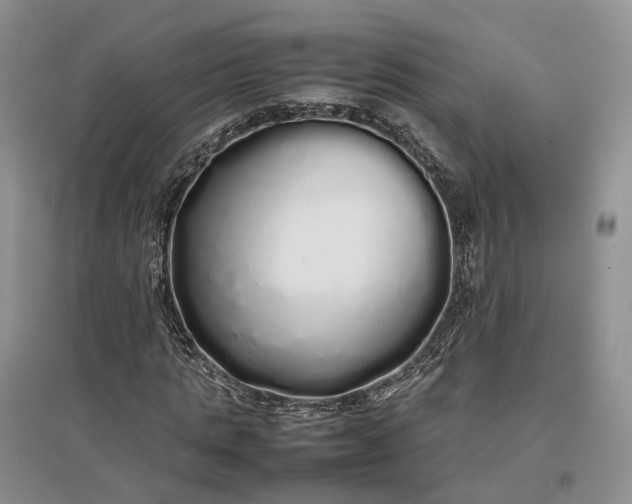 X0000097300821200802291811