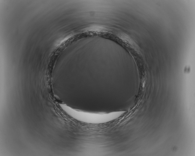 X0000097300822200802291811