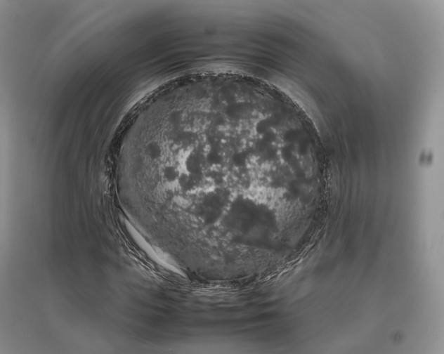 X0000097300823200802291811