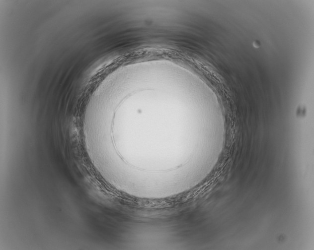 X0000097300824200802291811