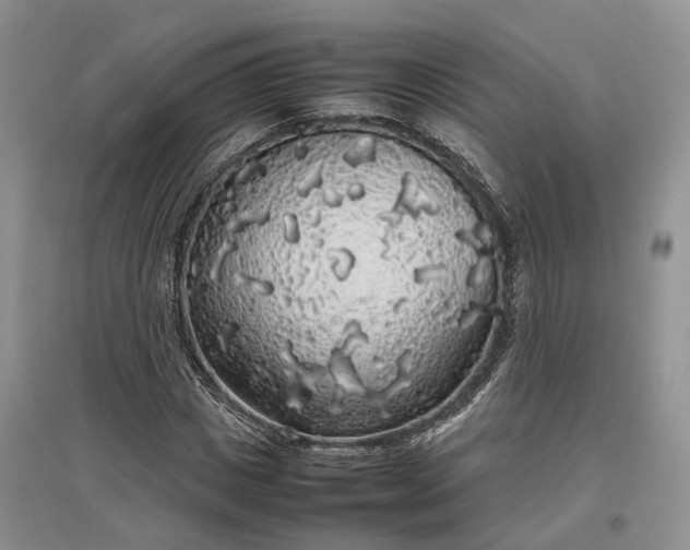 X0000097300825200802291811