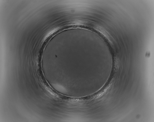 X0000097300826200802291811