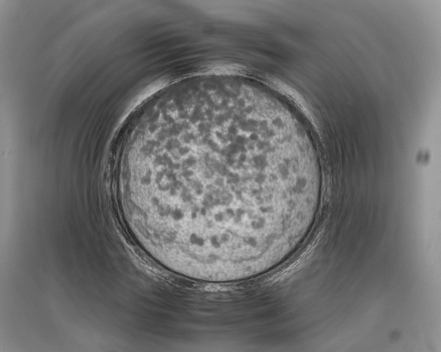 X0000097300827200802291811