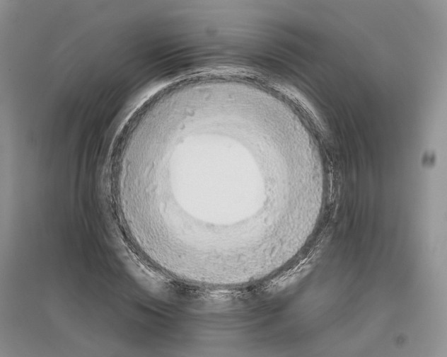 X0000097300828200802291811