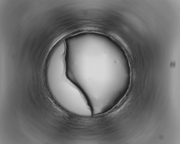 X0000097300829200802291811