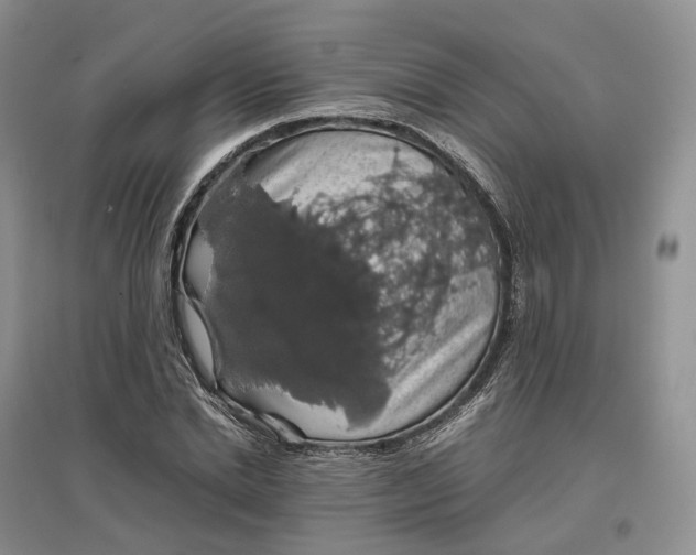 X0000097300830200802291811