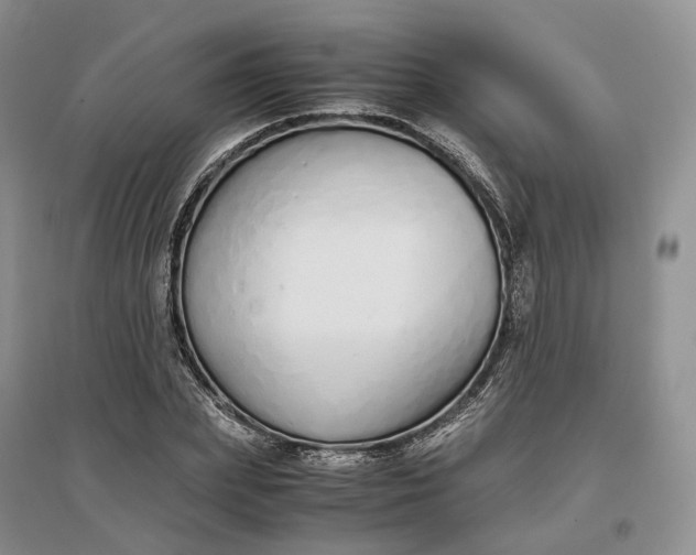 X0000097300831200802291811