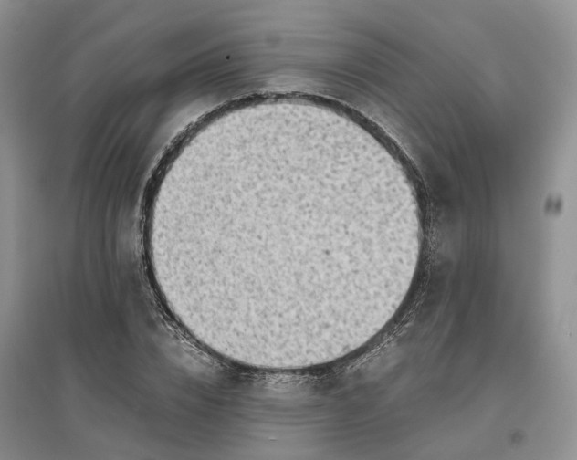 X0000097300832200802291811