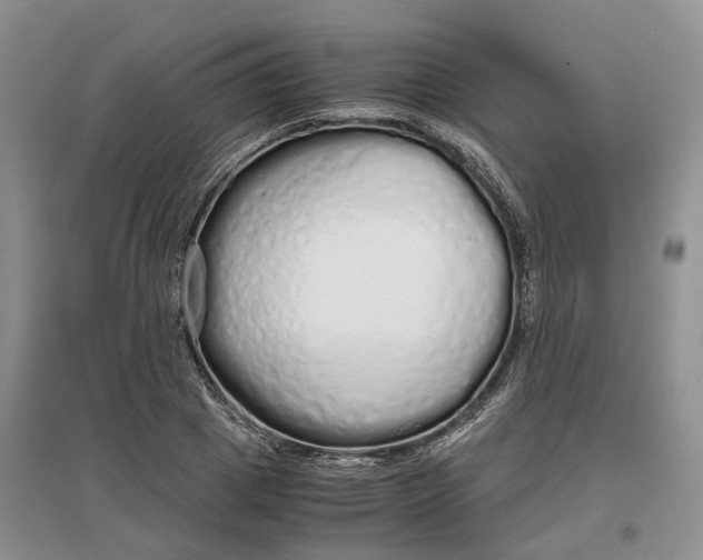 X0000097300833200802291811