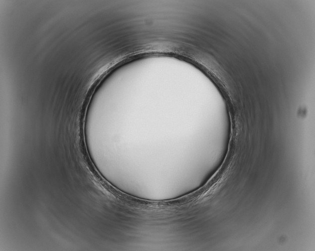 X0000097300834200802291811