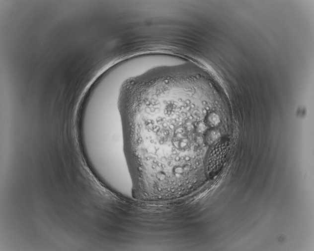 X0000097300835200802291811