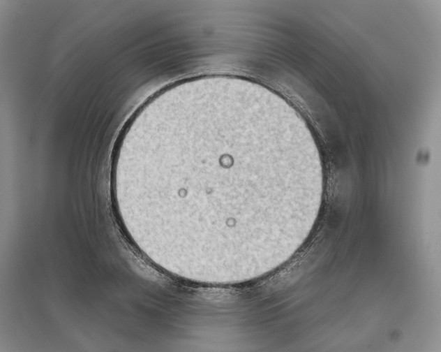 X0000097300836200802291812