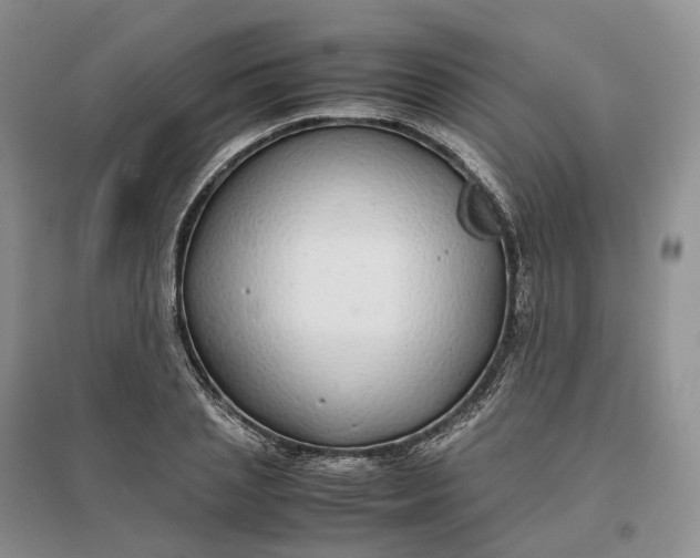 X0000097300837200802291812