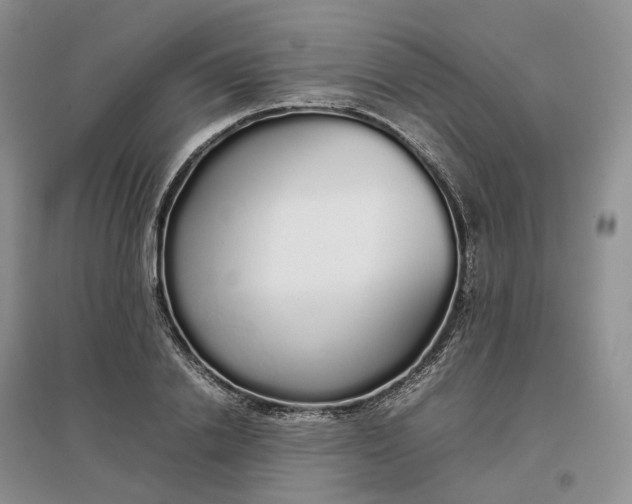 X0000097300838200802291812