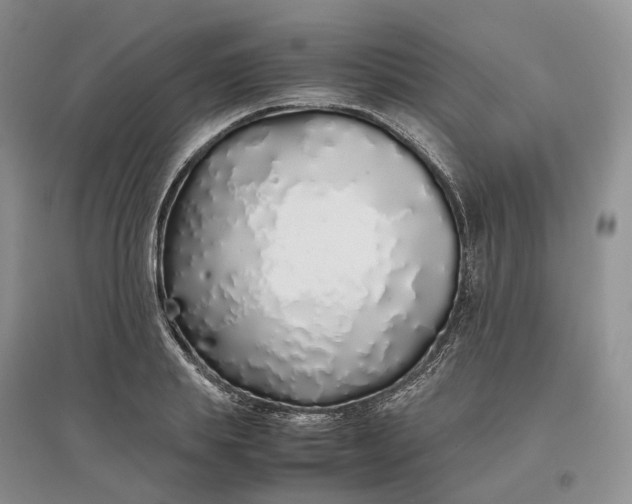 X0000097300839200802291812