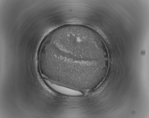 X0000097300840200802291812