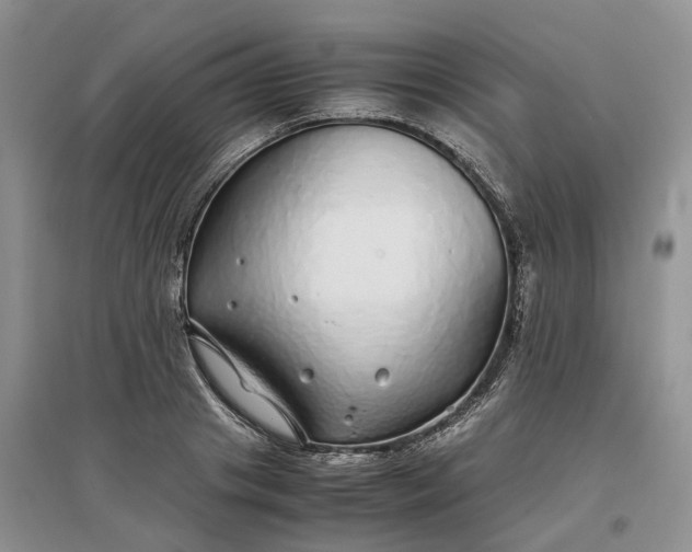 X0000097300841200802291812