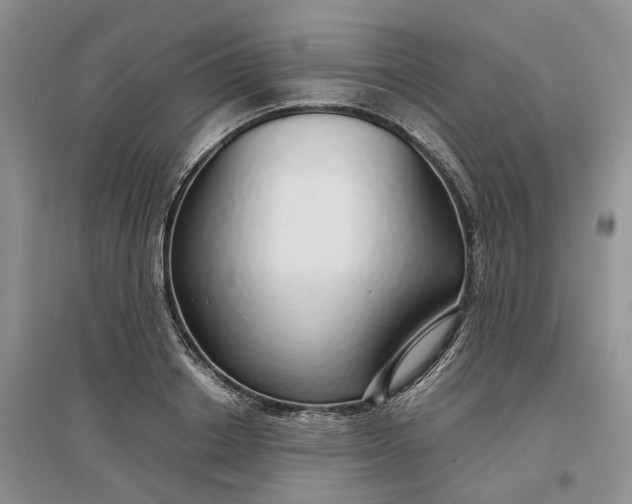 X0000097300842200802291812