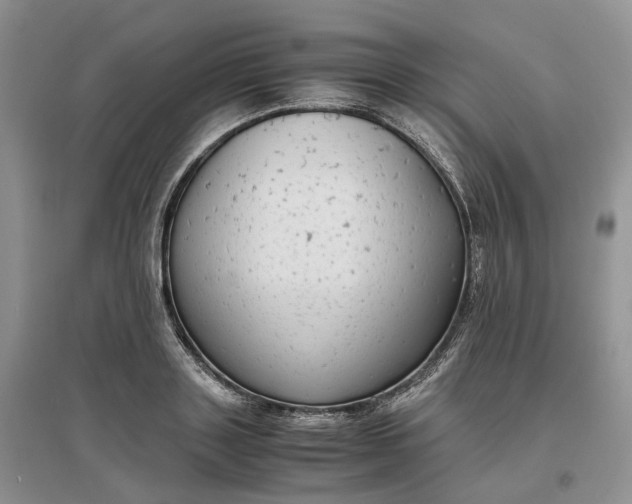 X0000097300843200802291812