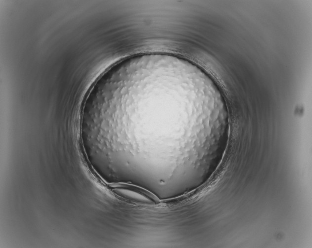 X0000097300844200802291812