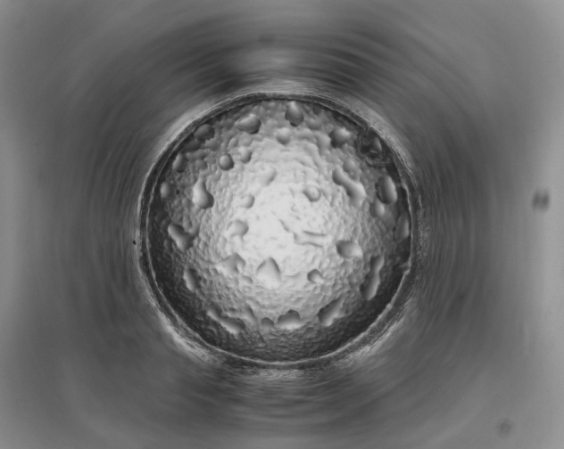 X0000097300845200802291812