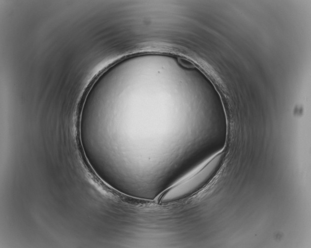 X0000097300846200802291812