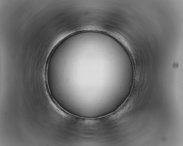 X0000097300847200802291812