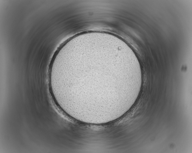 X0000097300848200802291812