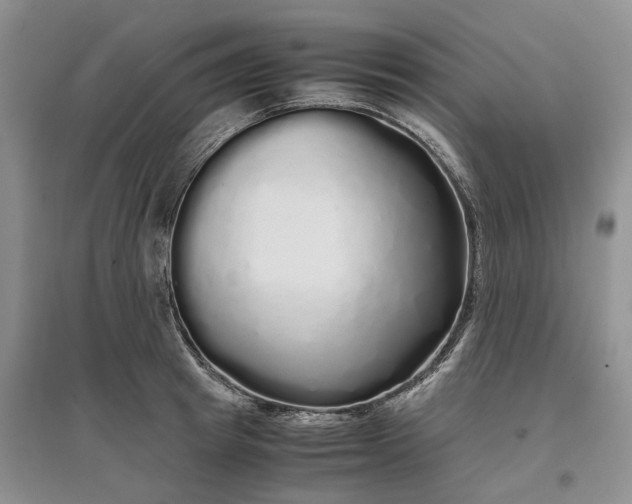 X0000097300849200802291812