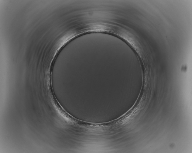 X0000097300850200802291812