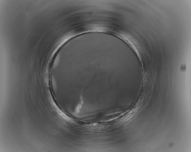 X0000097300851200802291812