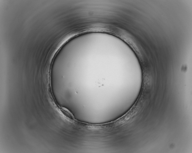 X0000097300852200802291812