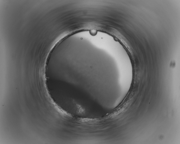 X0000097300853200802291812