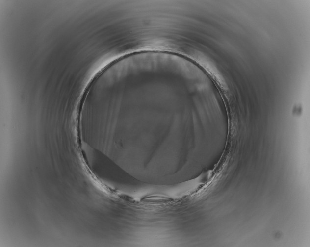 X0000097300854200802291812