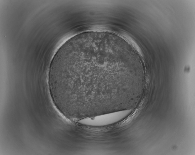 X0000097300855200802291812