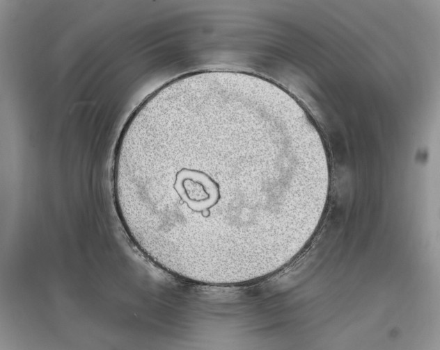 X0000097300856200802291812