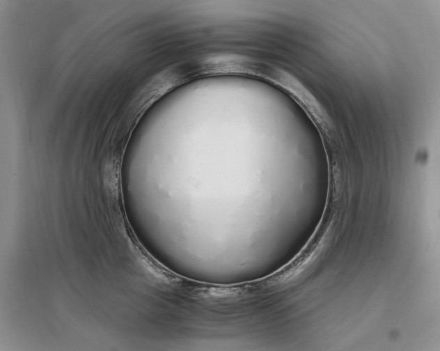 X0000097300857200802291812