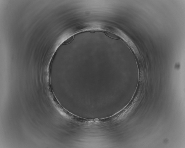 X0000097300858200802291812