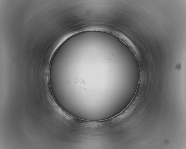 X0000097300860200802291812