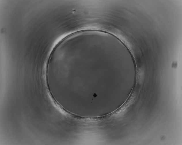 X0000097300862200802291812