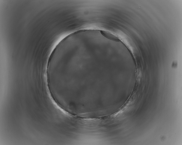 X0000097300863200802291812