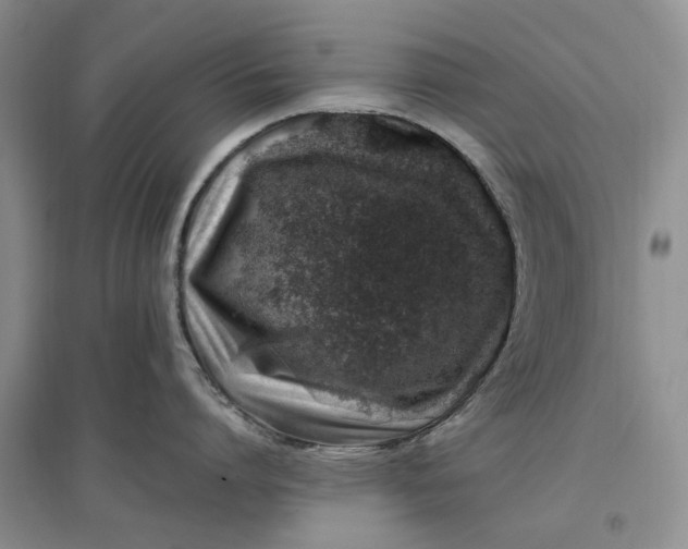 X0000097300864200802291812