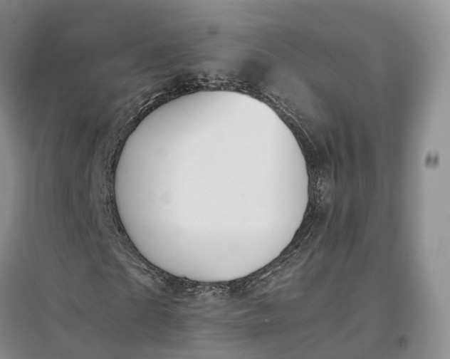 X0000097300865200802291811