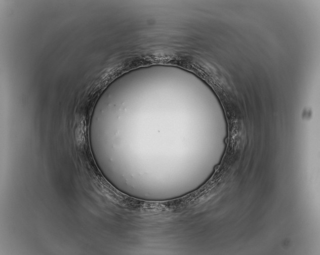 X0000097300866200802291811